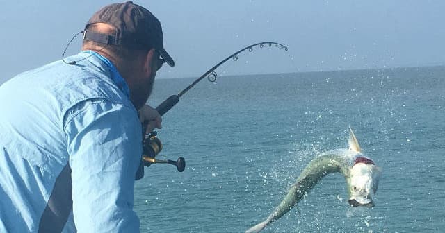 Angler fighting a jumping tarpon offshore on bright blue tropical waters