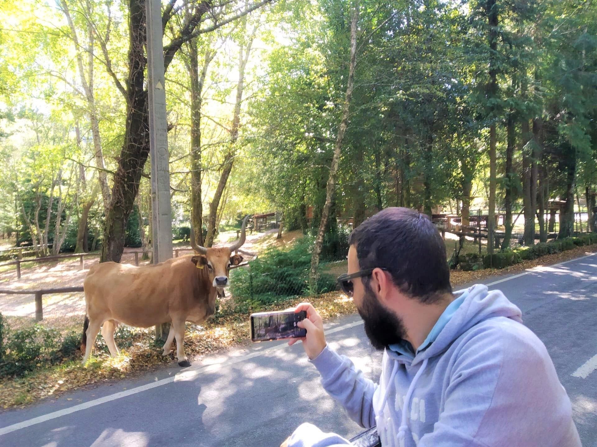Gerês Tour Privado (Tudo Incluído)