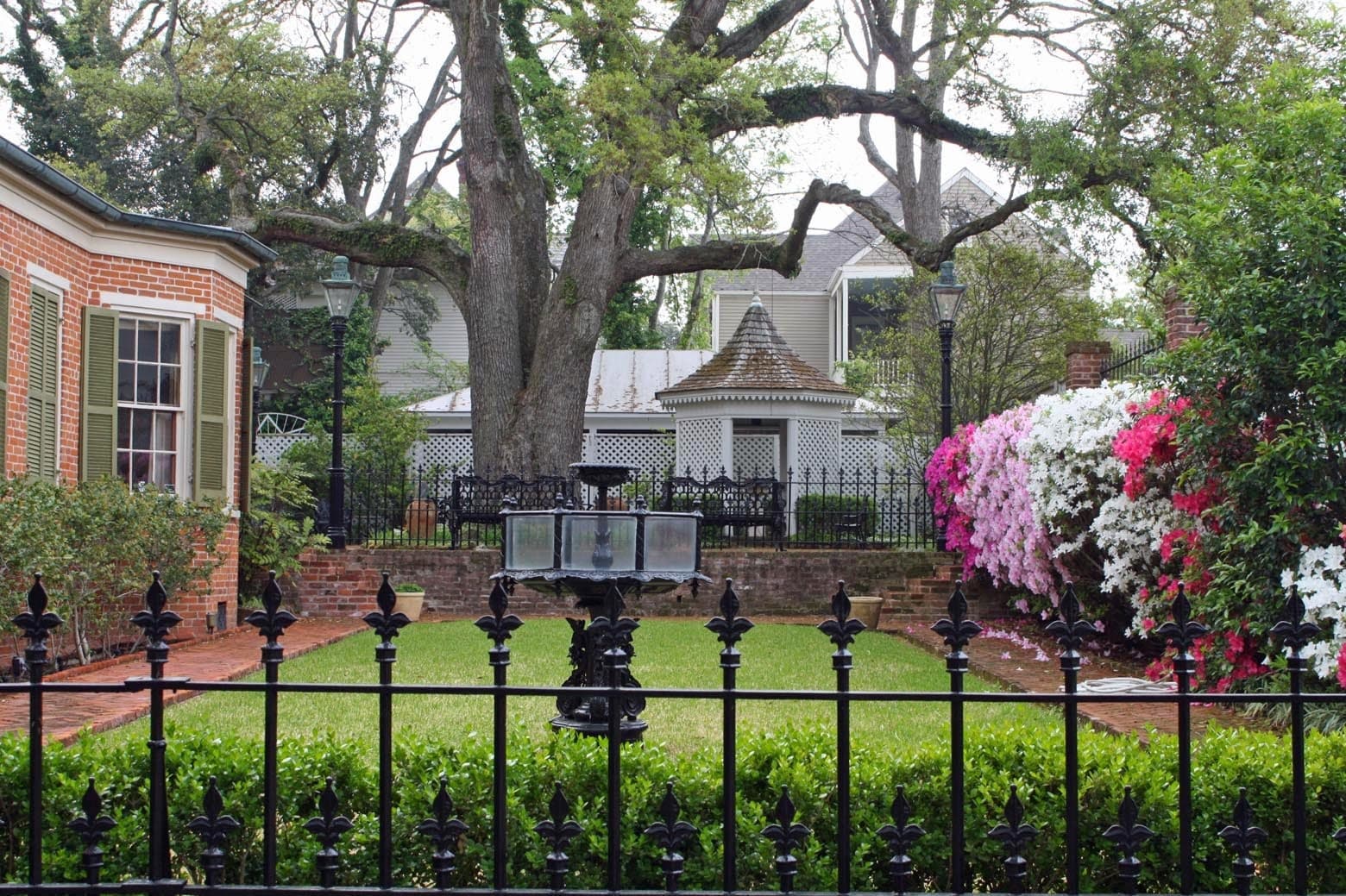 Everything Old Is New Again: Natchez Garden Tour & Camellia Celebration photo 2