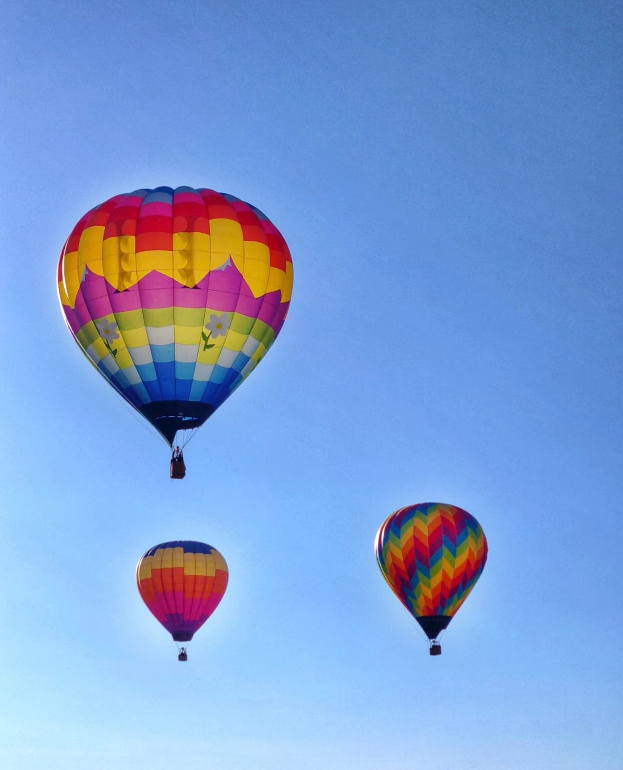 Hot Air Balloon Ride with Life Cycle Balloon Adventures in Longmont