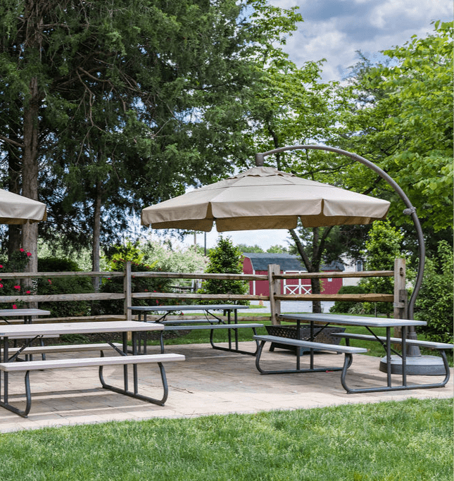 Shaded picnic tables under umbrellas in wooded brewery grounds
