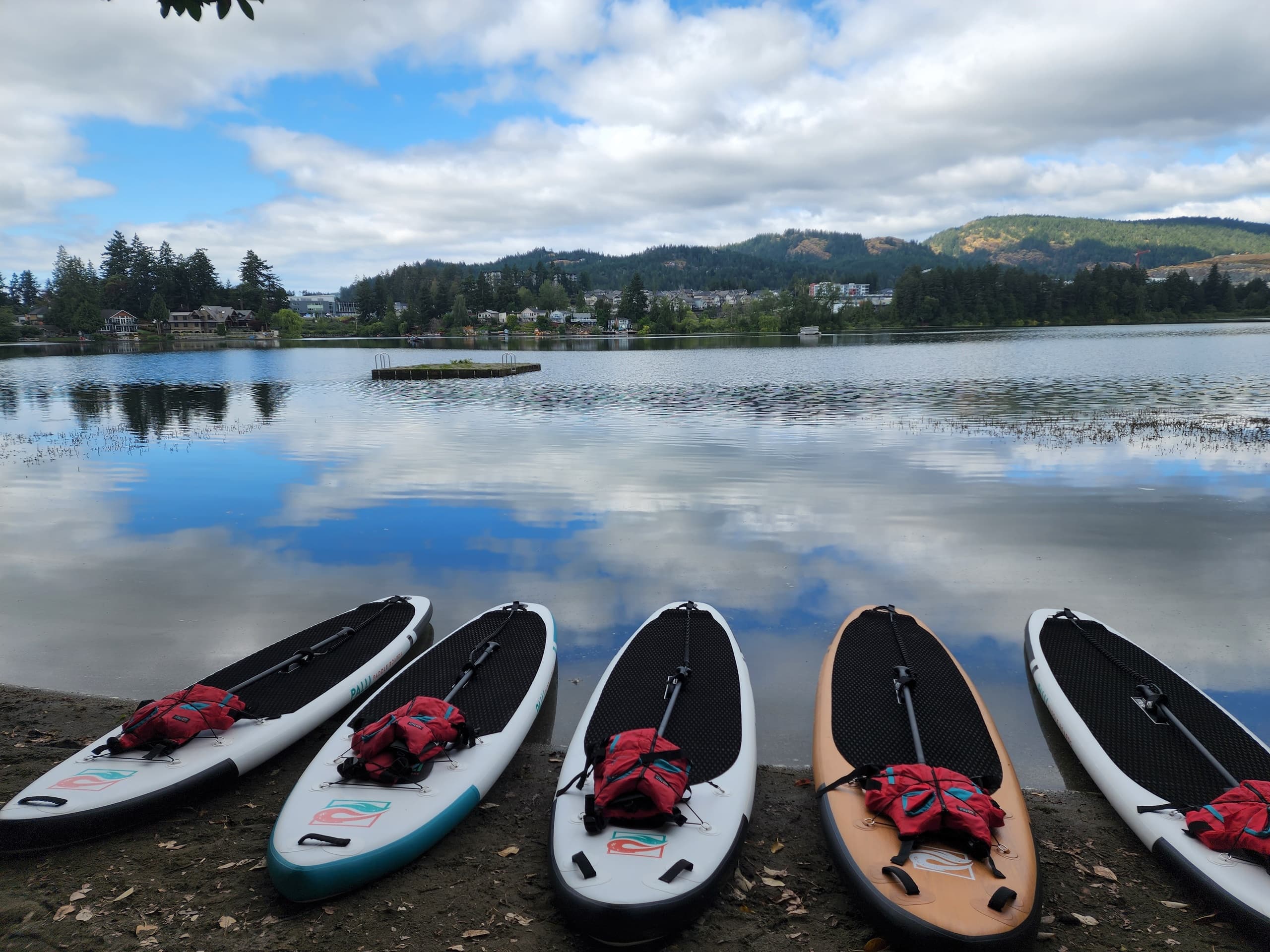 Row of stand-up paddleboards on Langford lakefront ready to launch