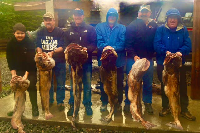 Overnight Halibut Fishing in Kachemak Bay from Homer Harbor