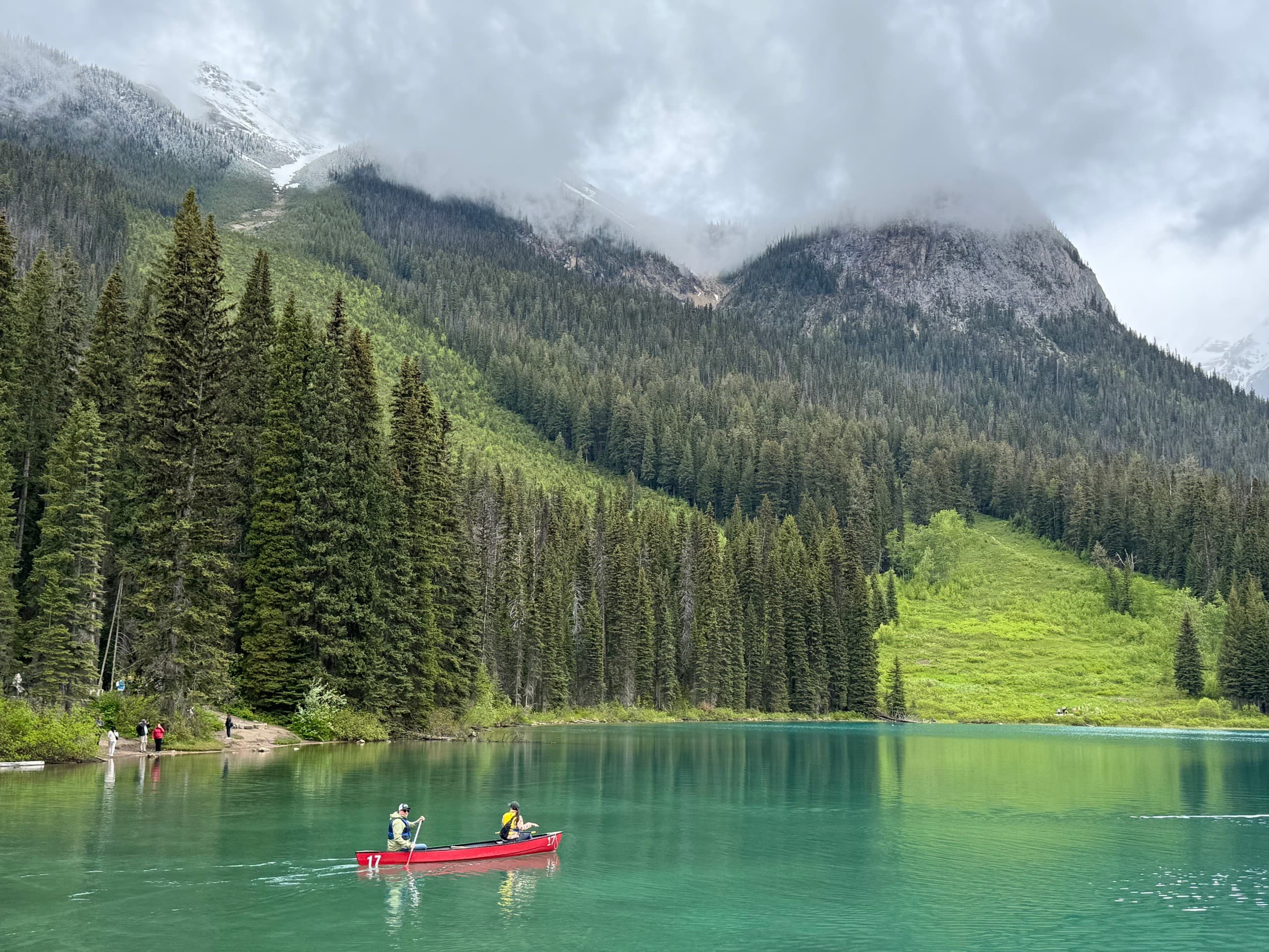 Evening Wildlife & Landscape Tour: Banff Evening Wildlife Photography photo 1