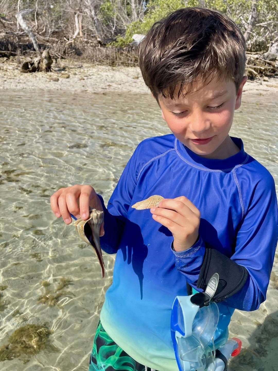Three-Hour Sandbar Escape in Key West: Snorkel, Paddleboard & Family Fun photo 3