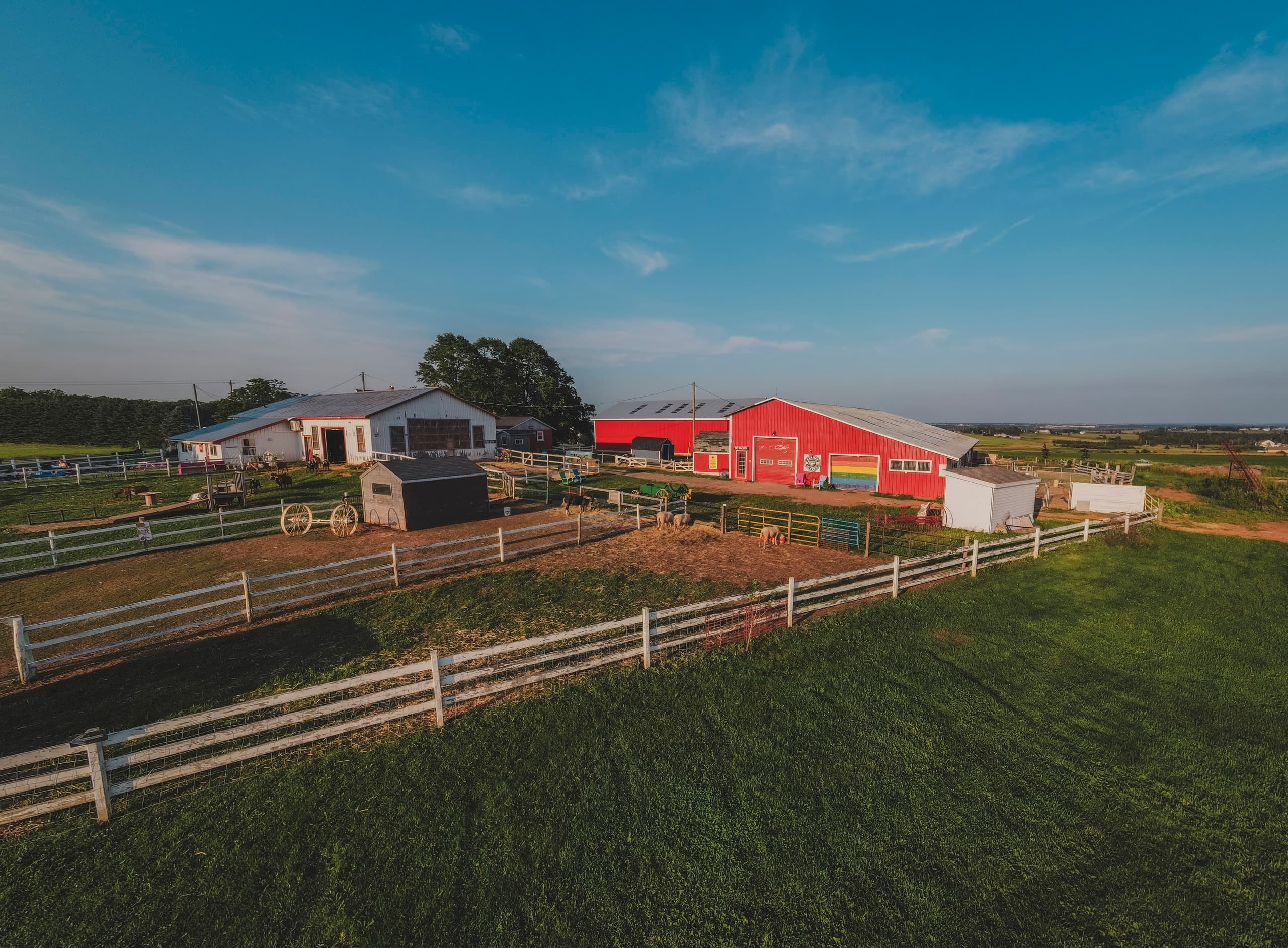 Agricultural Adventures at Island Hill Farm