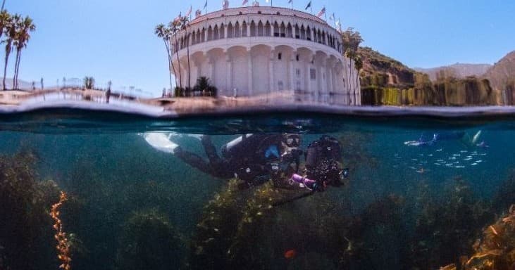 Shoot Catalina's Kelp: PADI Underwater Digital Photographer Course in Avalon