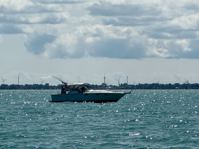 Three-Hour Lake St. Clair & Detroit River Cruise: Fishing, Skyline Views & Local Waterways
