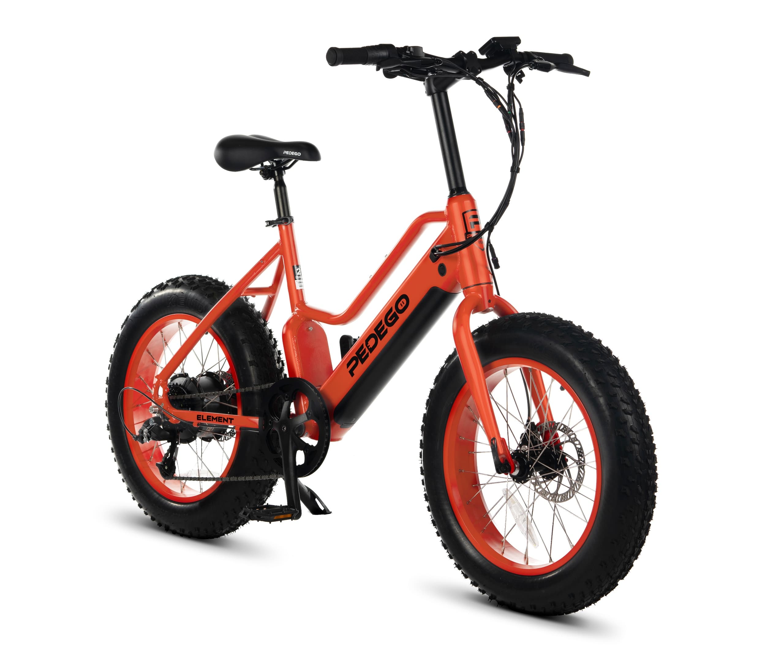 Electric Bike Adventures in Dunedin with Pedego Electric Bikes