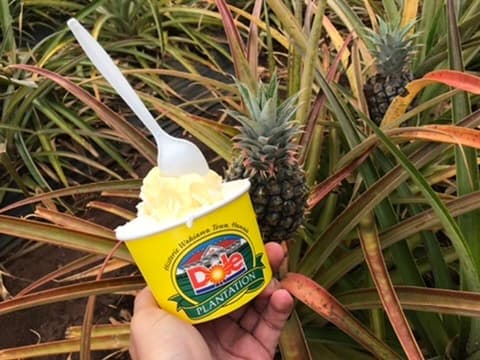 Explore North Shore Tour (incl. Dole)