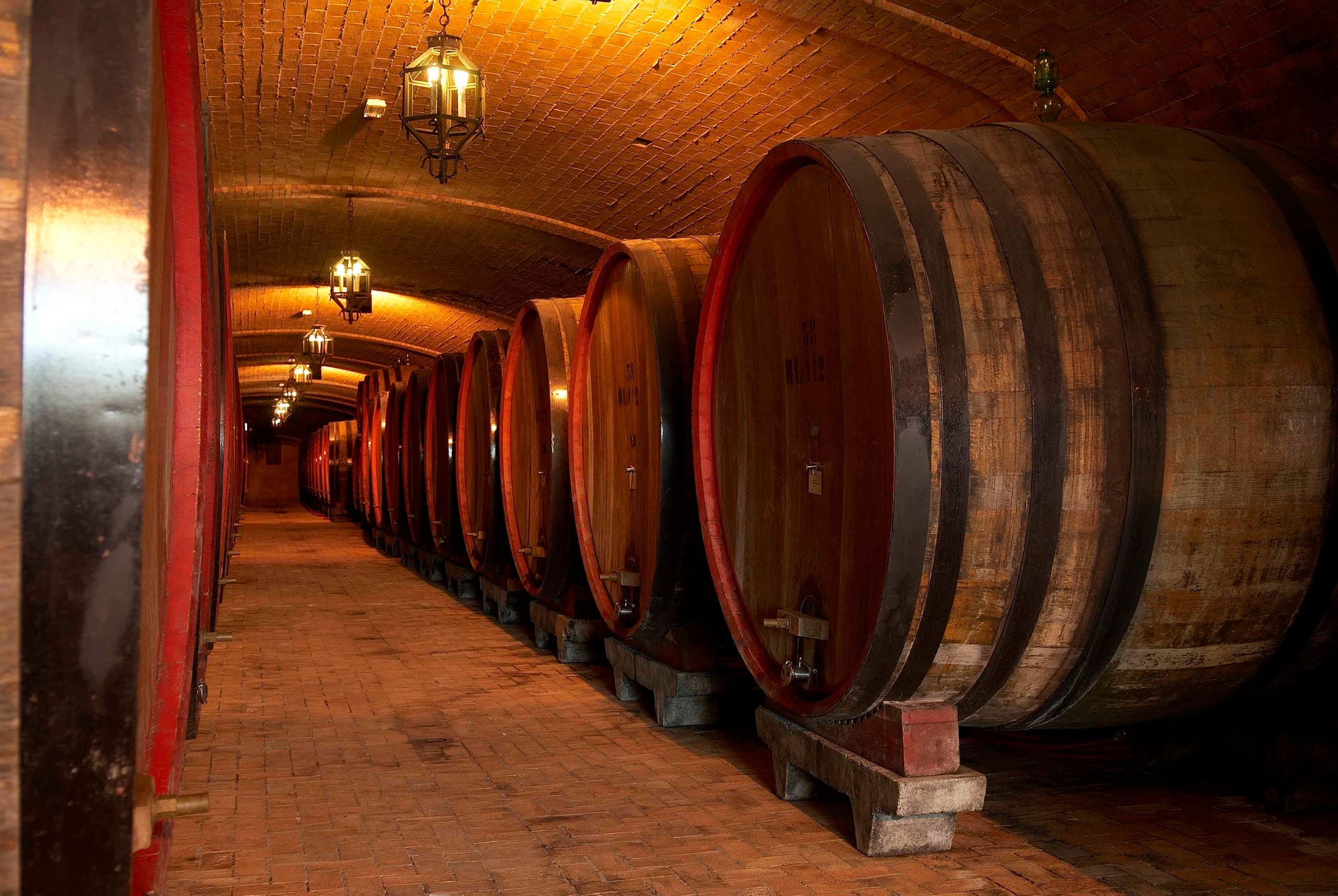 Montepulciano Cellar Tour & Nobile di Montepulciano DOCG Tasting