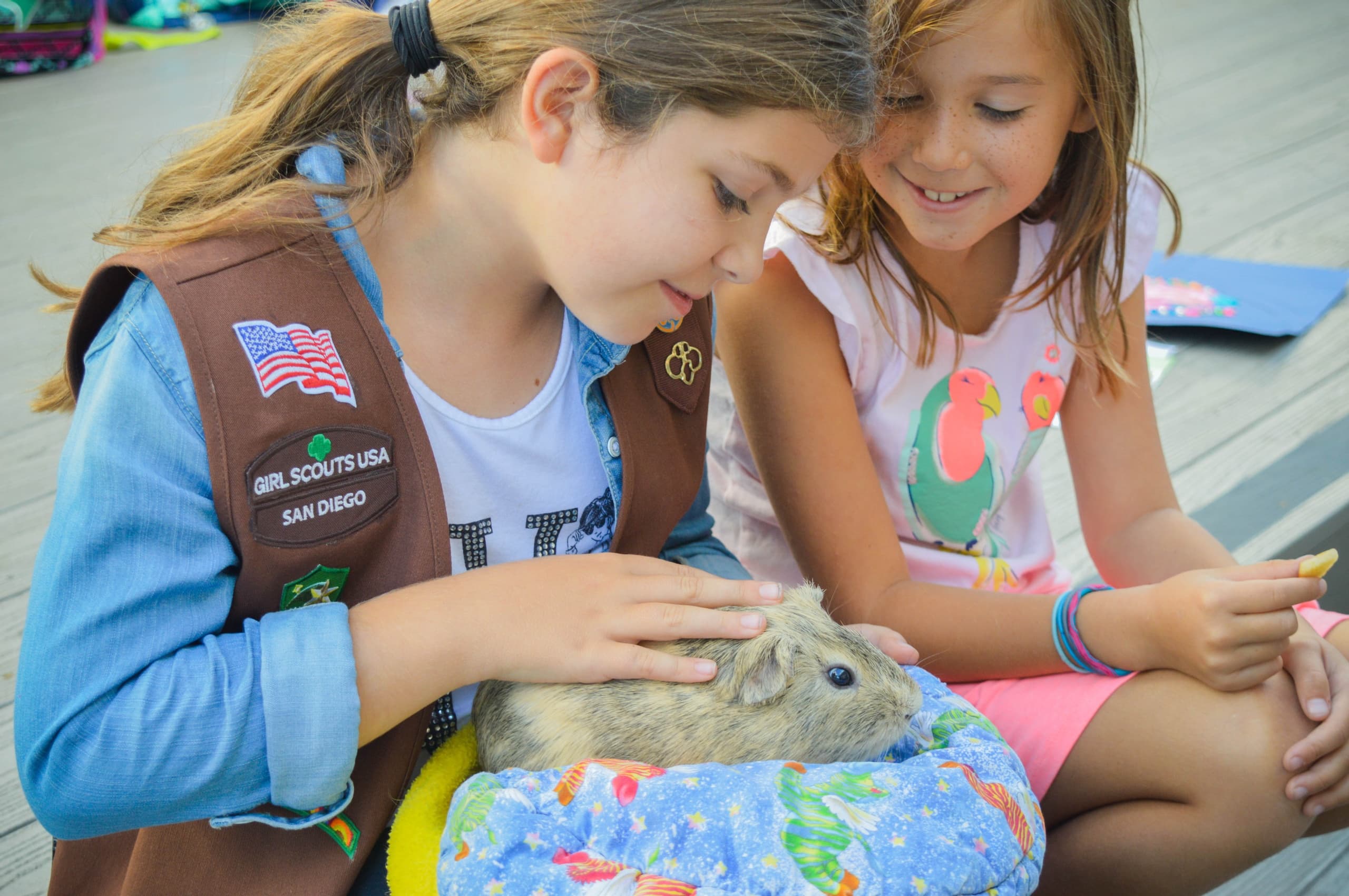 Outdoor Education & Animal Encounters at Zovargo