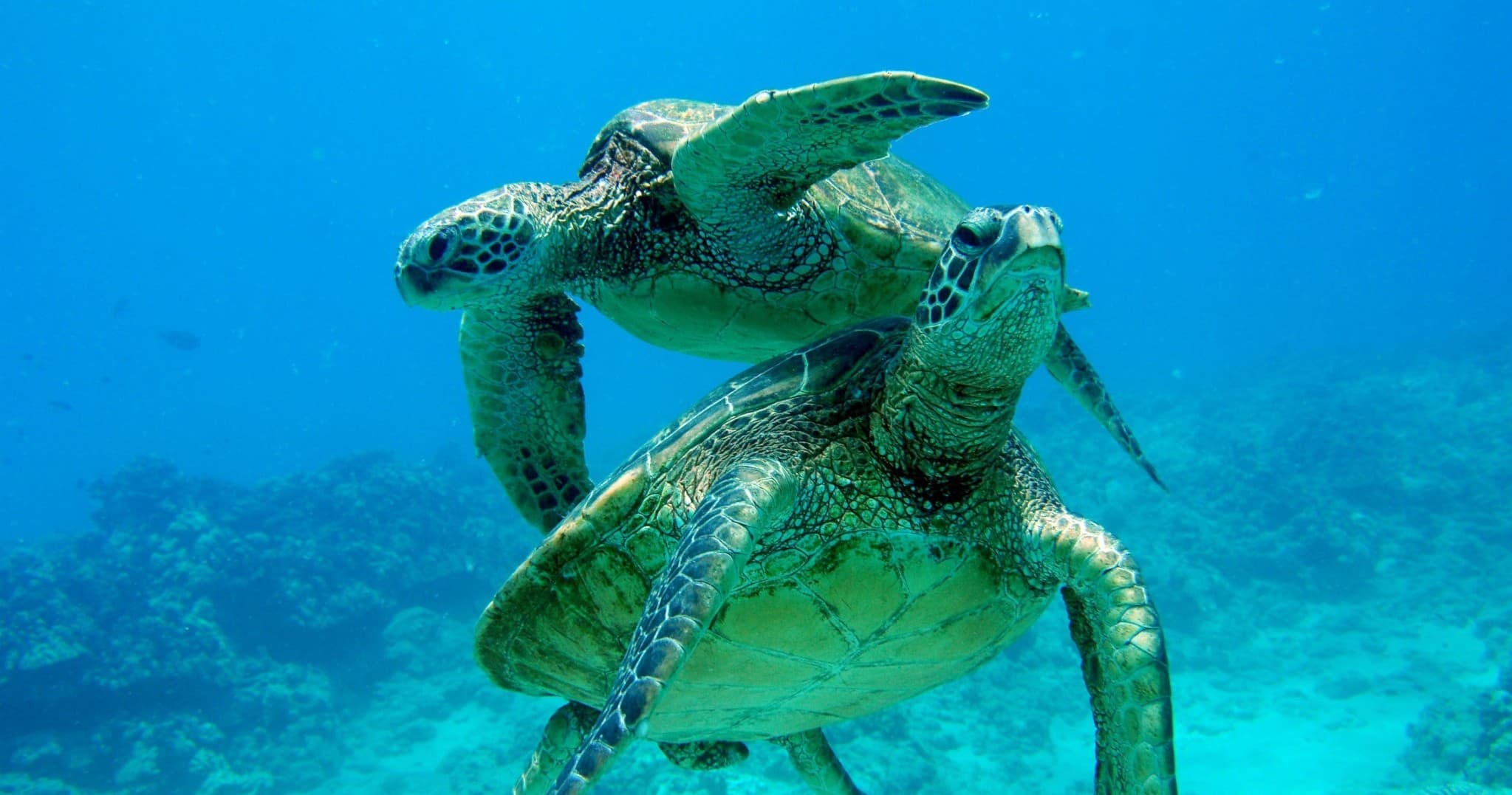 West O’ahu Combo Adventure: Hike, Sail, and Snorkel in Honolulu’s Hidden Paradise