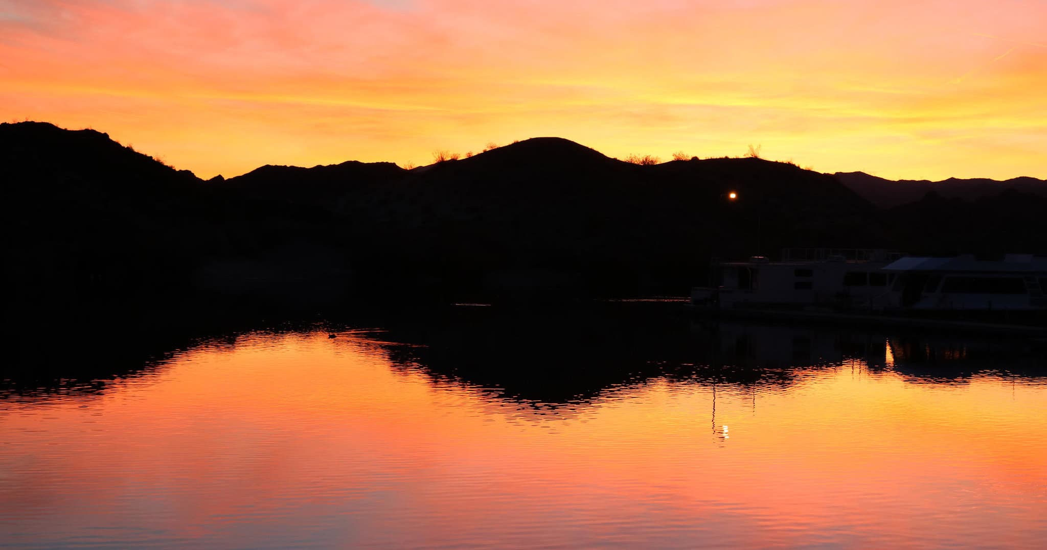 Explore Bullhead City Waters with Paddle Board Rental Adventures