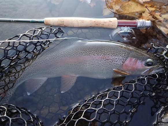Fly Fishing in Vermont with Uncle Jammer's Guide Service