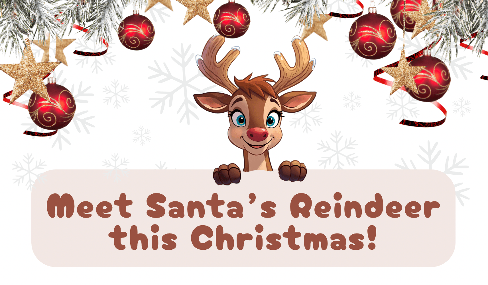 Reindeer Christmas Experience at Adorable Party Palace, Calderwood NSW photo 1