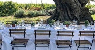 Alfresco long dining table under ancient olive tree, Quinta dinner