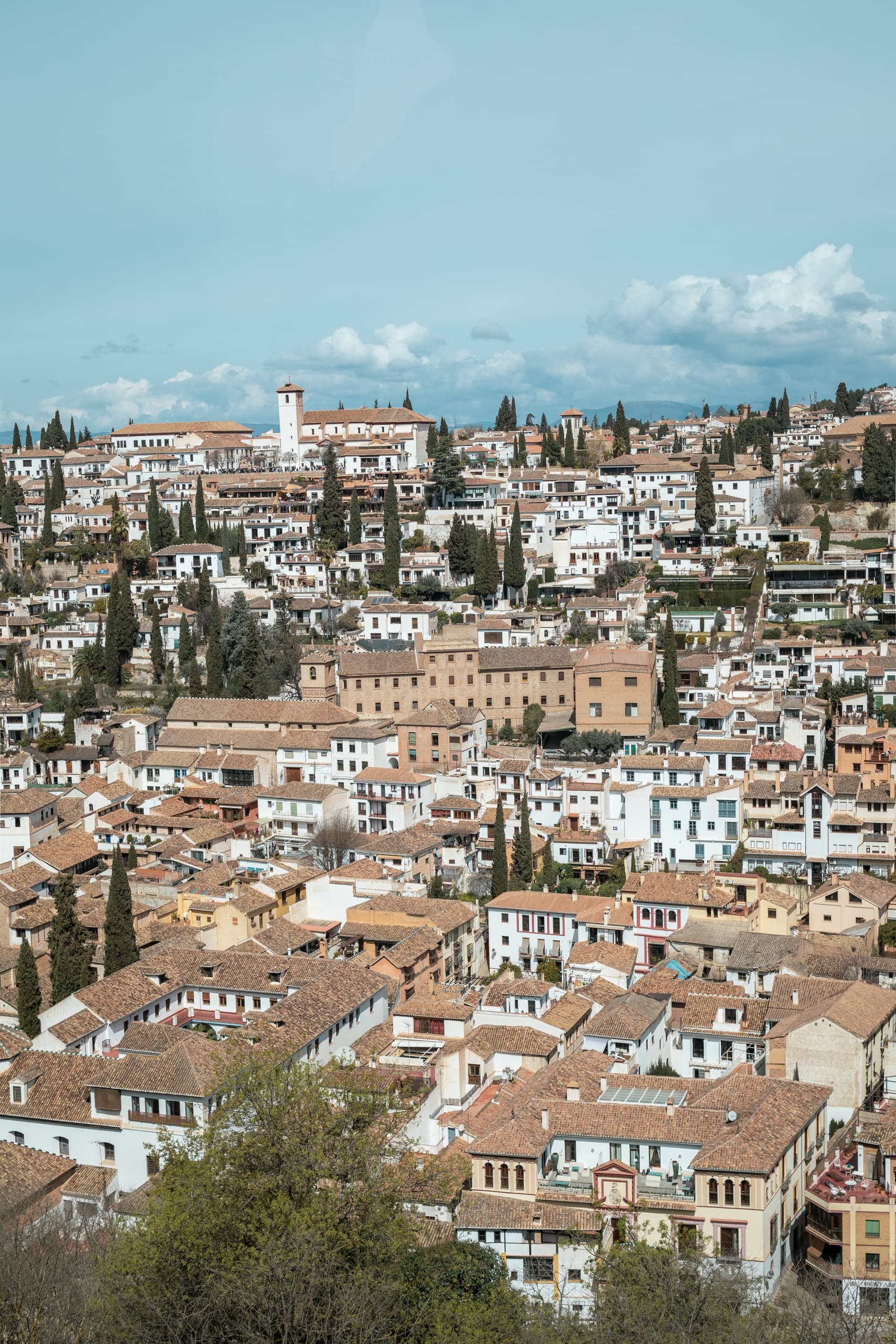 Alhambra Pass: Discovering Spain’s Iconic Granada Tour