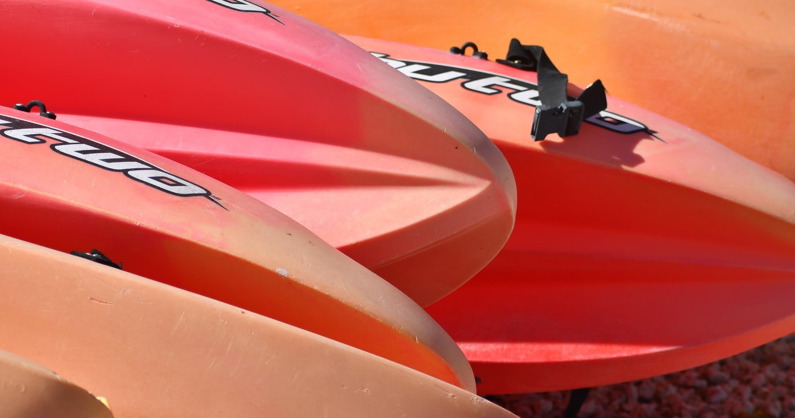 Legendary Jet Skis Marathon team