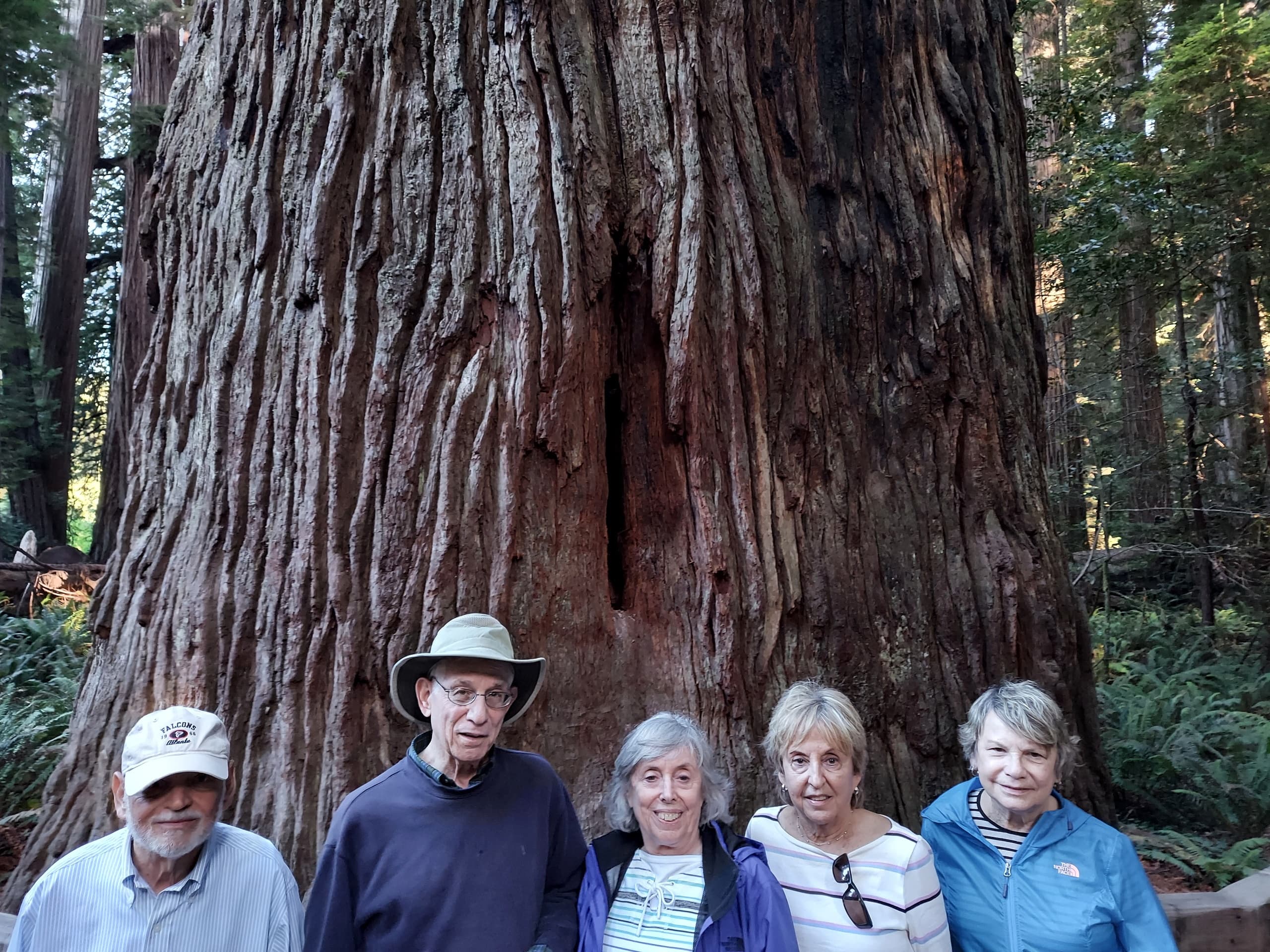 Land Adventures with Terran Travels: Multi-Day Tours in [Destination]