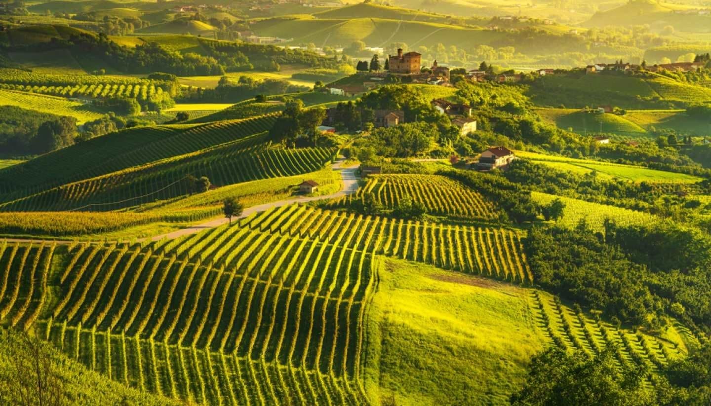 Illusive + Iconic Italy Wine Tasting in Washington, VA