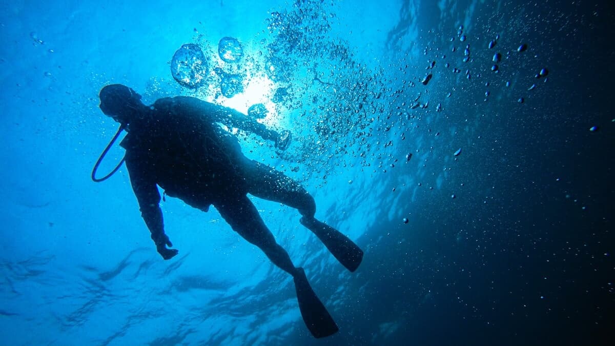 Introductory Mediterranean Diving with Ohana Diving