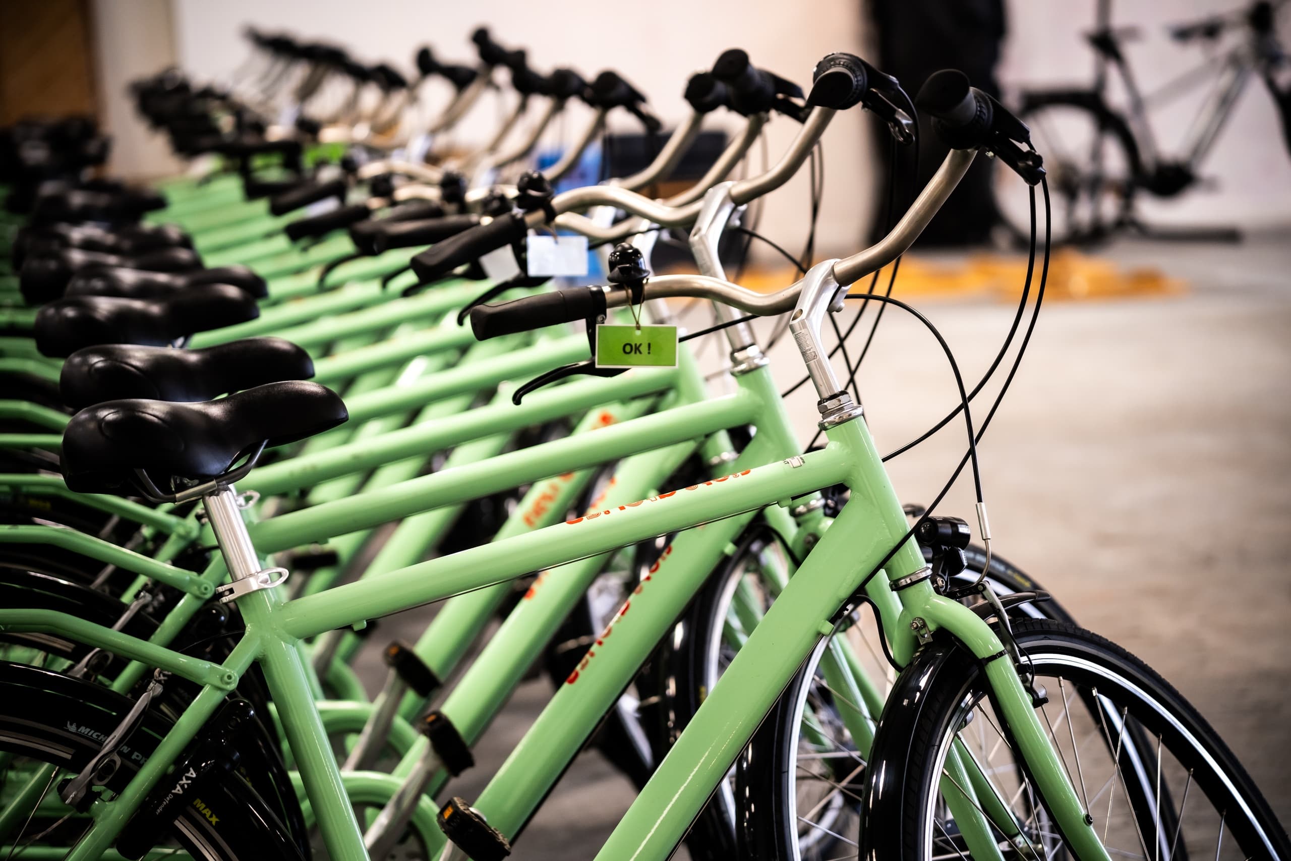 Multiple green rental bicycles lined up indoors for tours