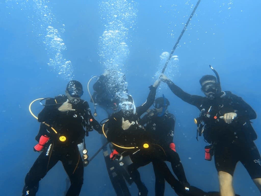 Learn to Scuba in Honolulu: SSI Open Water Diver Certification in 3 Days