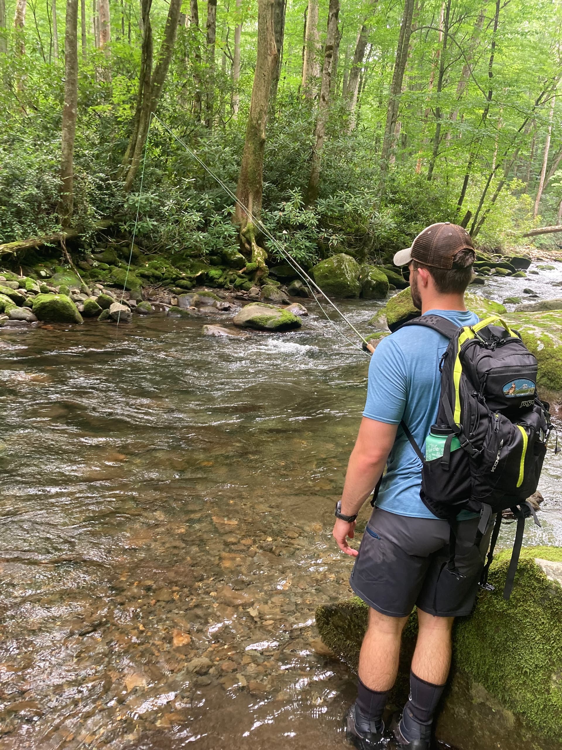 Fly Fishing Adventure with Smoky Mountain Guides in Great Smoky Mountains
