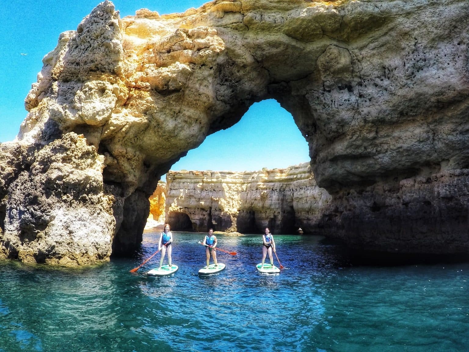 Kayak Tours photo 1