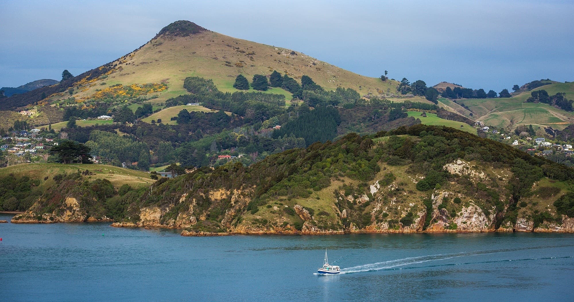 Boat on calm harbor with rolling hill, Otago Peninsula coastal view