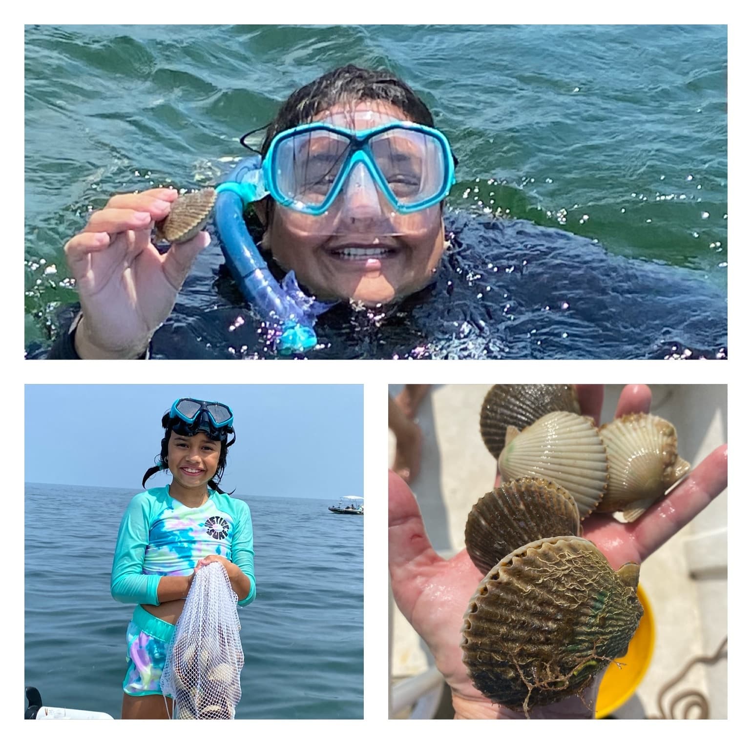 Scallop Trips with Le Ruffian Adventures in Yankeetown, FL