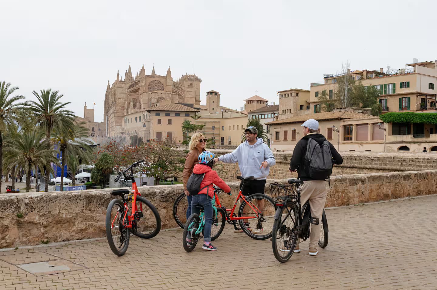 Palma Bike Tour: Cycle the Historic Center & Seafront (2 Hours)