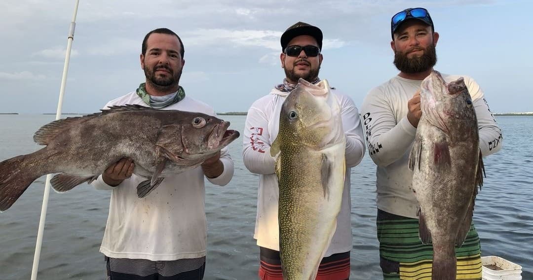 Three anglers holding large offshore trophy fish after charter trip