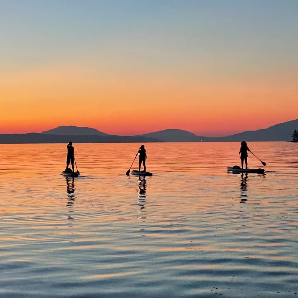 Bioluminescence Tour with South Island SUP in Victoria