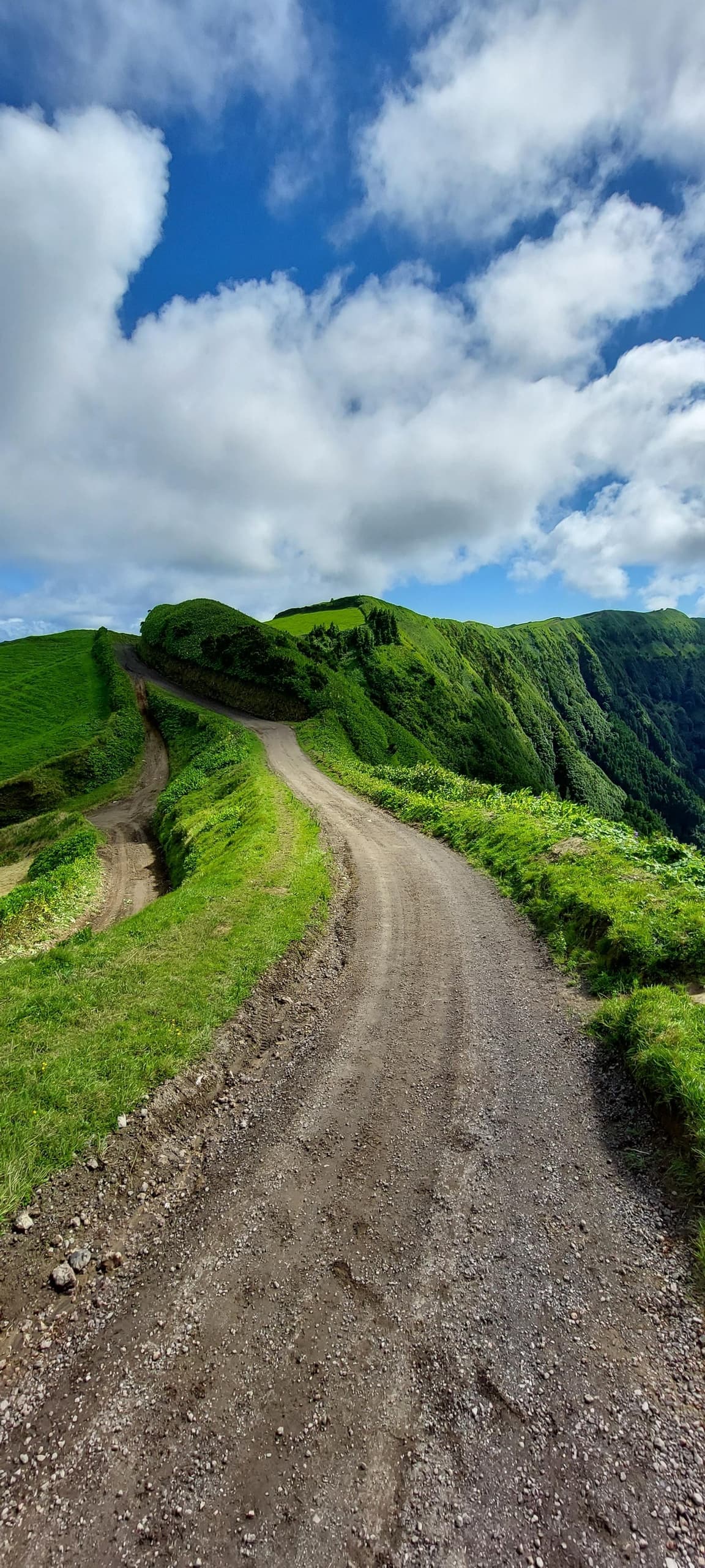 Full Day Private Tours with Greenzone Azores in Ponta Delgada