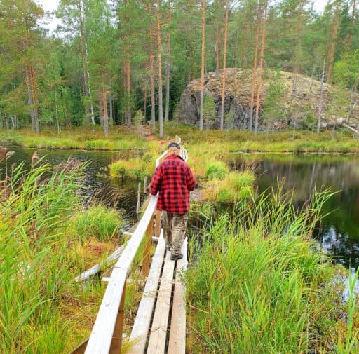 Hiker walking wooden boardwalk through marsh beside lake