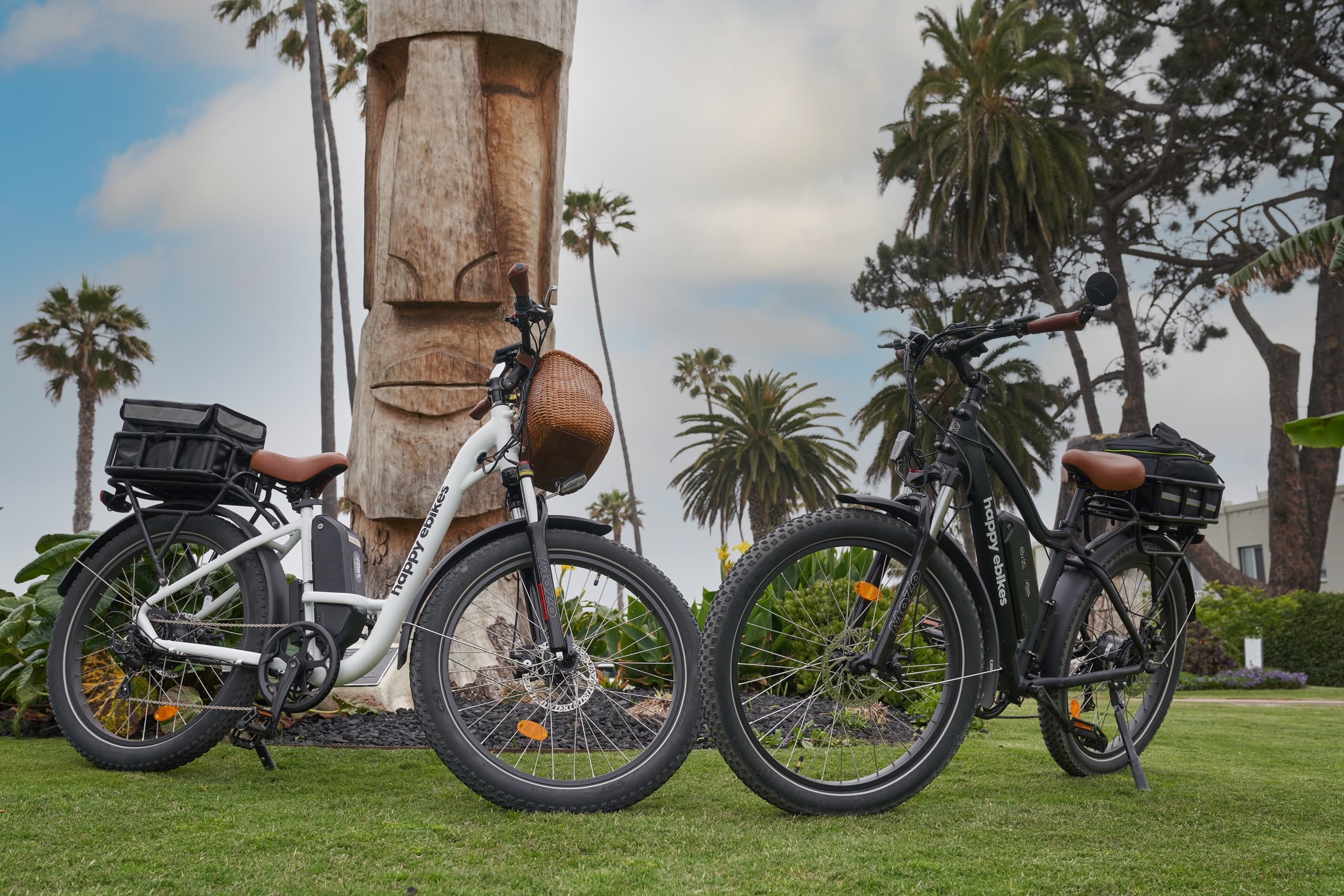 E-bikes parked in coastal park with palm trees, seaside tour