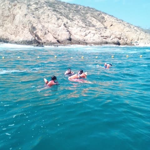 Snorkelers floating near rocky coastline in clear blue sea