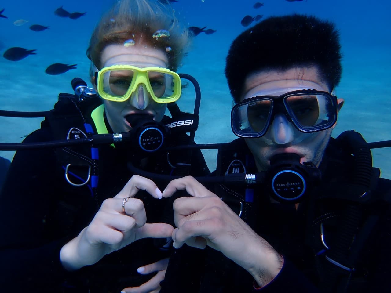 Beginner Dives at MUSAN: Two-Shallow-Water Scuba Adventures from Protaras photo 4