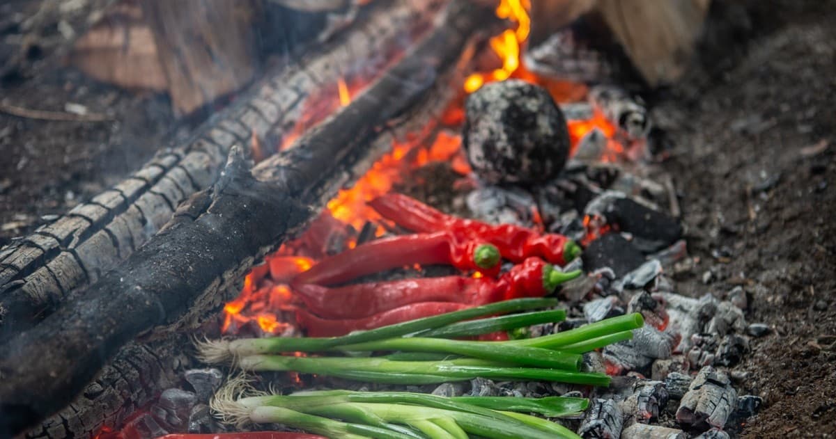 Primitive Cooking Workshop in Leersums Veld — Bushcraft Cooking Class Near Utrecht