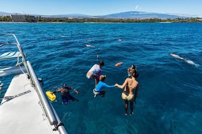 Snorkel Whale Watch Adventure from Kawaihae Harbor, Hawaii