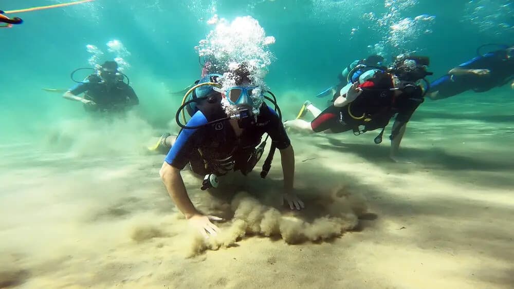 Discover Scuba Diving in Nea Makri: Beginner Aegean Dives Near Athens photo 3
