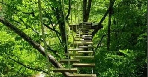 Ropes Challenge Course at Foxfire Adventure Park in Sevierville