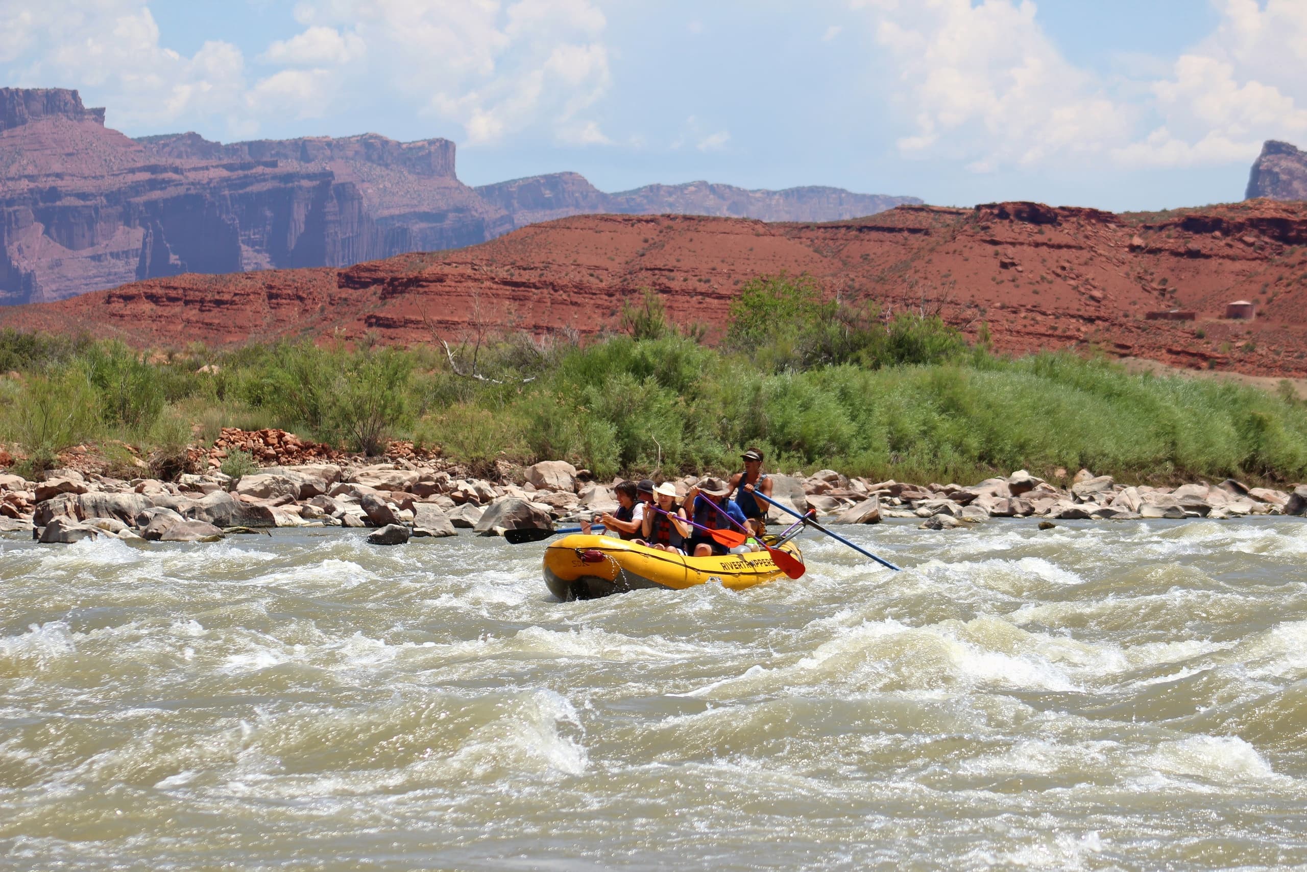 Colorado River Half-Day Rafting with Durango Rivertrippers