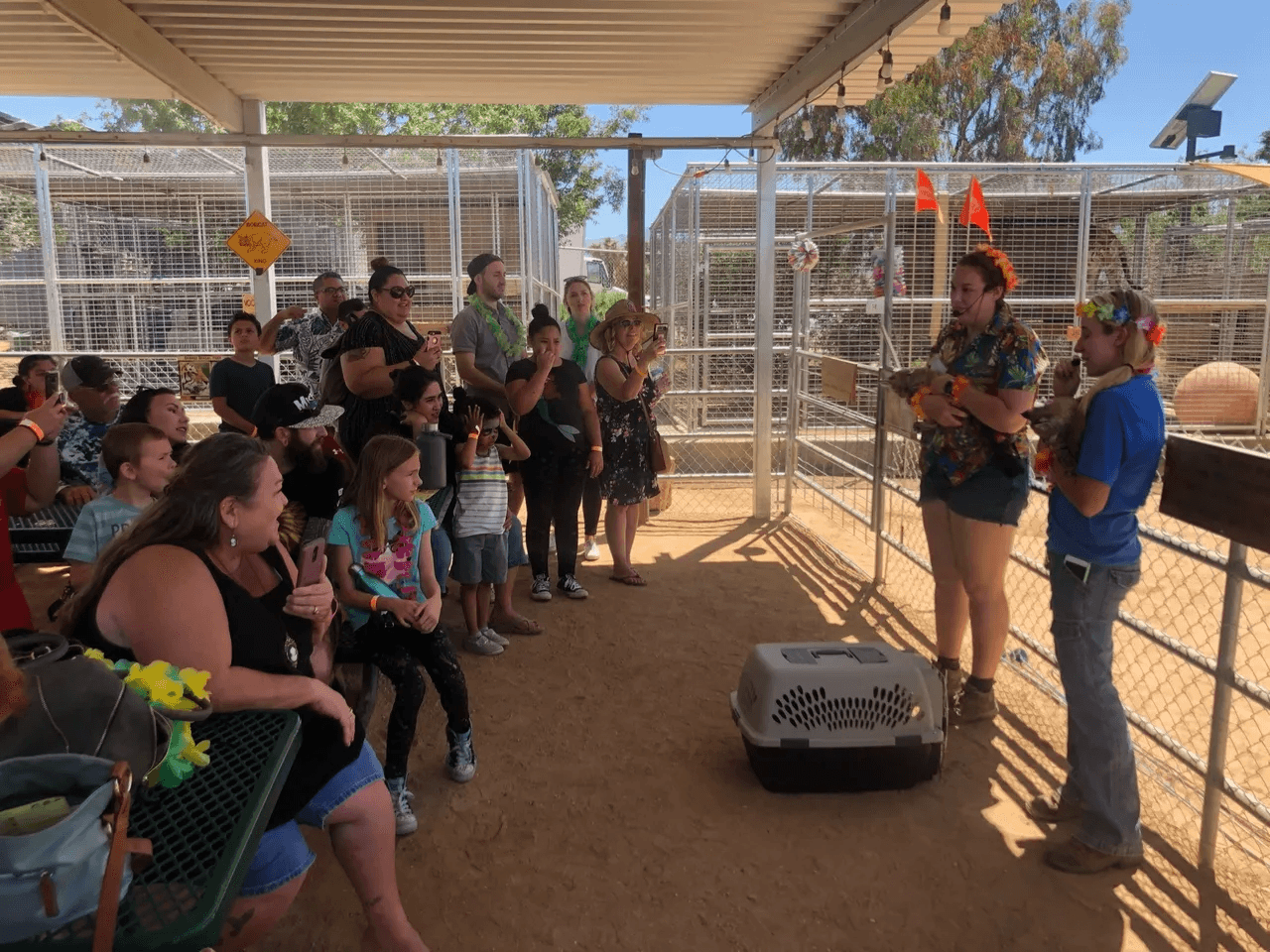 Sanctuary educational talk with visitors in shaded outdoor area