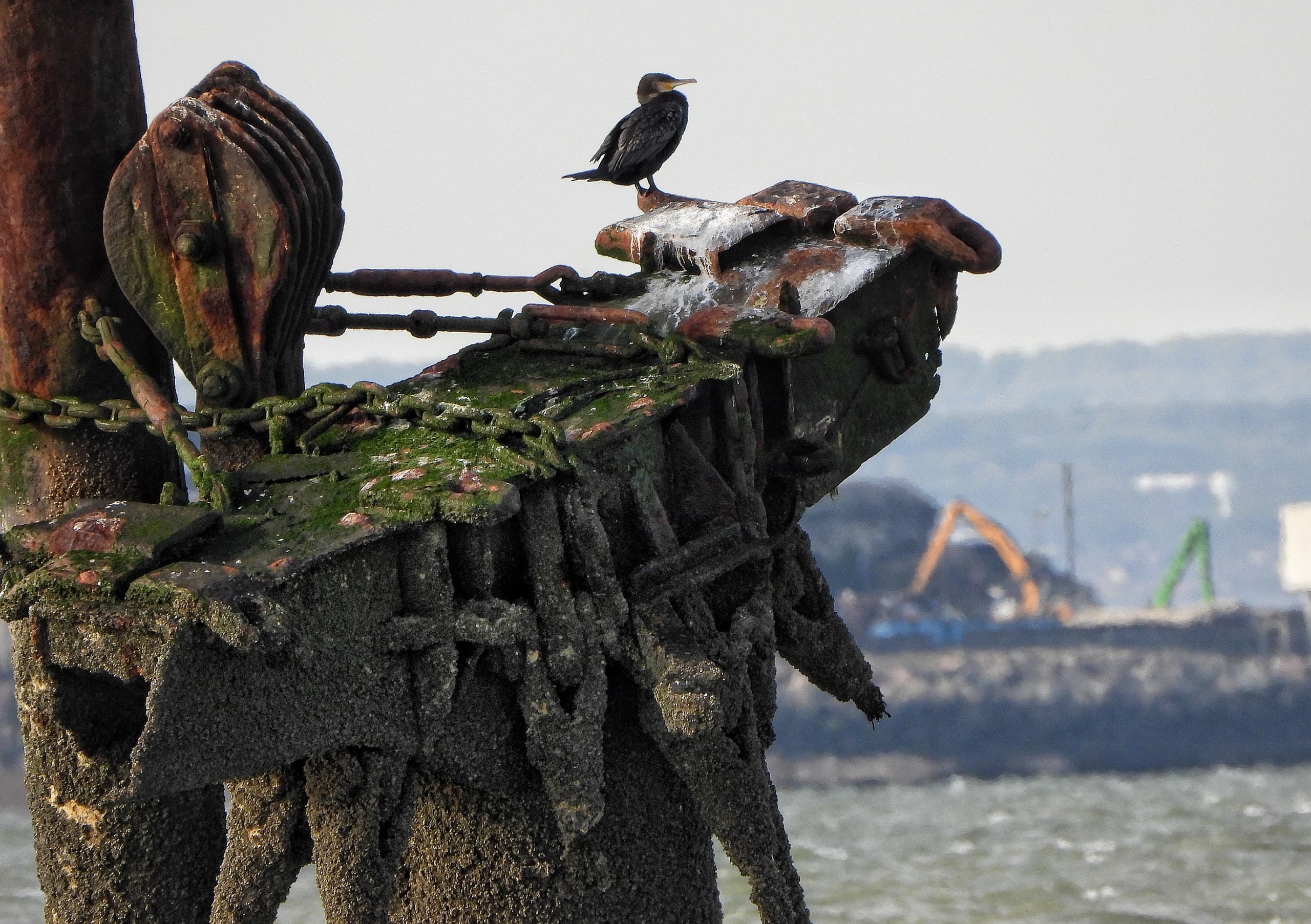 Sailing the Thames Estuary: Redsand Towers, Maunsell Forts & the Montgomery Wreck photo 3