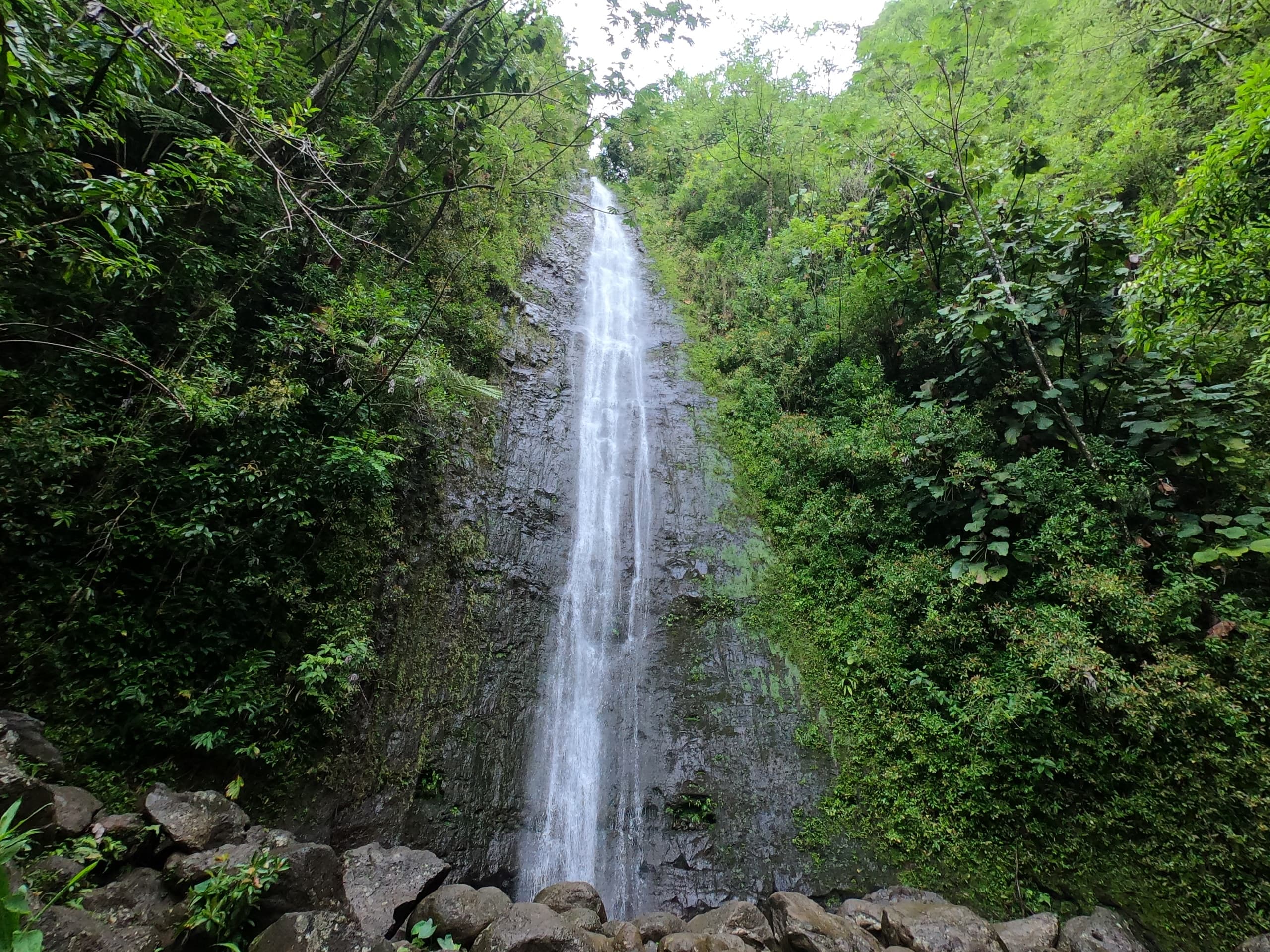Discover O’ahu’s Majestic Manoa Falls: A Guided Hawaiian Waterfall Hike Experience