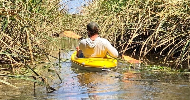 River Natural History Kayaking with Waccamaw River