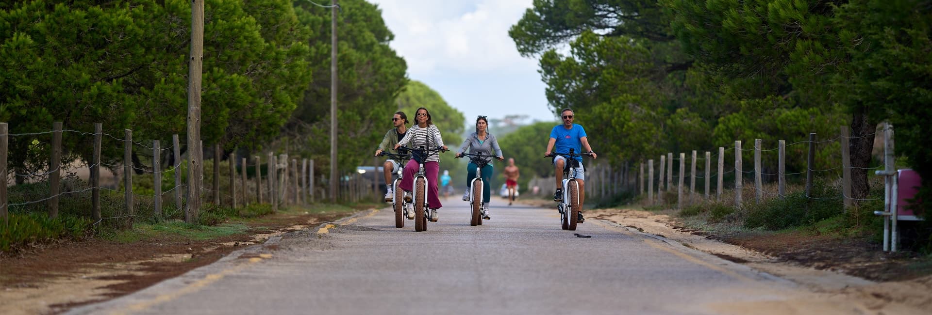 Electric Bike Forest Tours with Gecko Surf School in Costa da Caparica